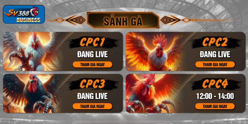 Kinh nghiệm cược đá gà tại trang chủ sv388