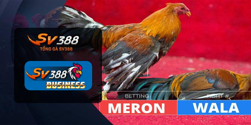 Luật cược tại sảnh đá gà SV388